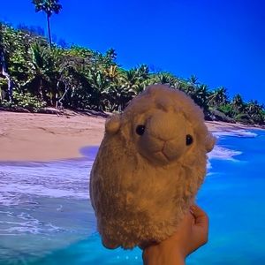 Girlfriend/boyfriend gift